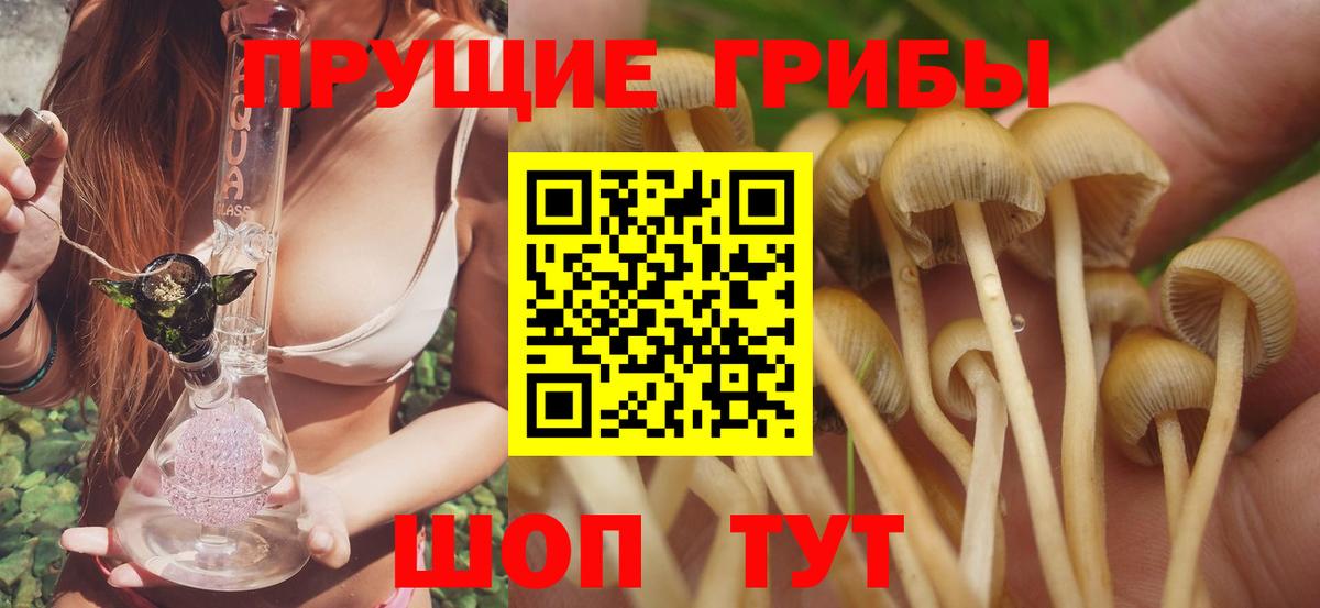 Галлюциногенные грибы ЛСД  Вход с VPN  хочу наркоту  Кумертау 